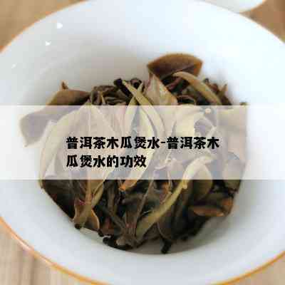 普洱茶木瓜煲水-普洱茶木瓜煲水的功效