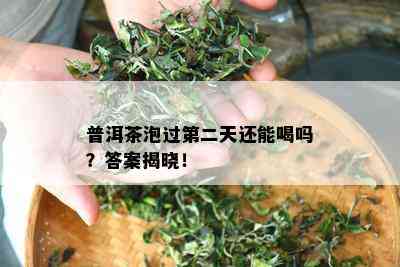 普洱茶泡过第二天还能喝吗？答案揭晓！