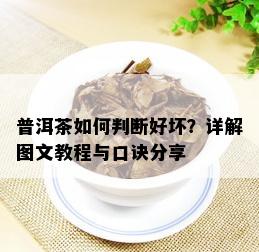 普洱茶如何判断好坏？详解图文教程与口诀分享