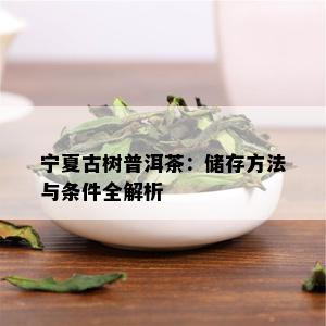 宁夏古树普洱茶：储存方法与条件全解析