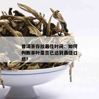 普洱茶存放更佳时间：如何判断茶叶是否已达到更佳口感？