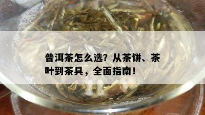 普洱茶怎么选？从茶饼、茶叶到茶具，全面指南！