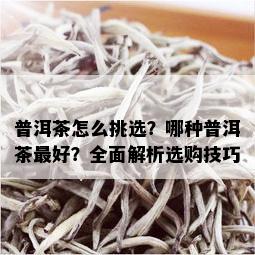 普洱茶怎么挑选？哪种普洱茶更好？全面解析选购技巧