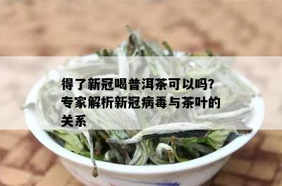 得了新冠喝普洱茶可以吗？专家解析新冠病与茶叶的关系