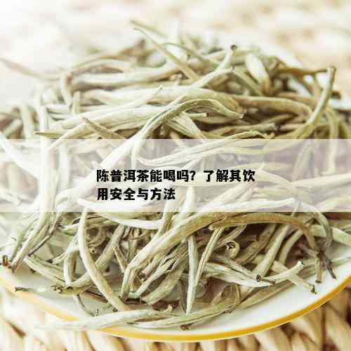 陈普洱茶能喝吗？了解其饮用安全与方法