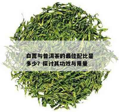 白蒿与普洱茶的更佳配比是多少？探讨其功效与用量