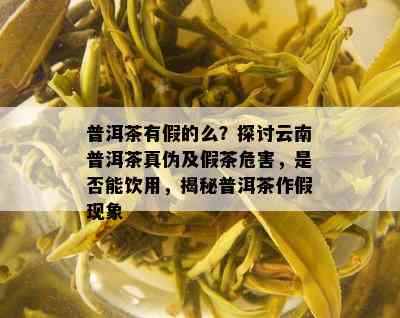 普洱茶有假的么？探讨云南普洱茶真伪及假茶危害，是否能饮用，揭秘普洱茶作假现象