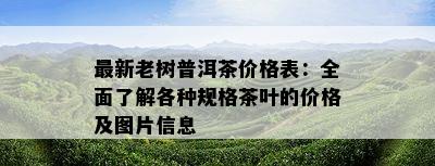 最新老树普洱茶价格表：全面了解各种规格茶叶的价格及图片信息