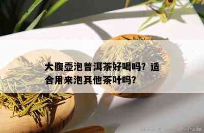 大腹壶泡普洱茶好喝吗？适合用来泡其他茶叶吗？