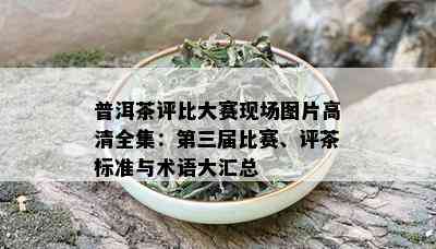 普洱茶评比大赛现场图片高清全集：第三届比赛、评茶标准与术语大汇总