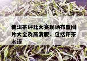 普洱茶评比大赛现场布置图片大全及高清版，包括评茶术语