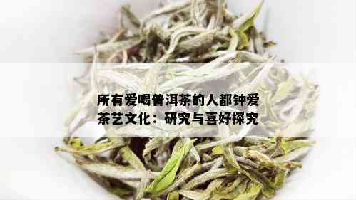 所有爱喝普洱茶的人都钟爱茶艺文化：研究与喜好探究