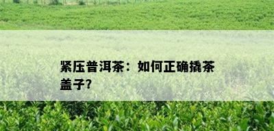 紧压普洱茶：如何正确撬茶盖子？