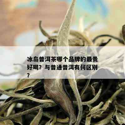 冰岛普洱茶哪个品牌的最贵好喝？与普通普洱有何区别？