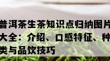 普洱茶生茶知识点归纳图片大全：介绍、口感特征、种类与品饮技巧