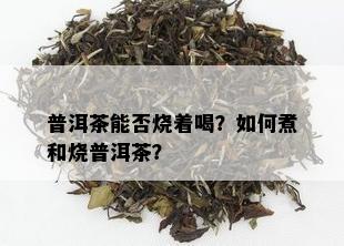 普洱茶能否烧着喝？如何煮和烧普洱茶？