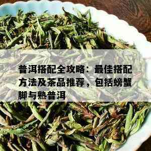 普洱搭配全攻略：更佳搭配方法及茶品推荐，包括螃蟹脚与熟普洱