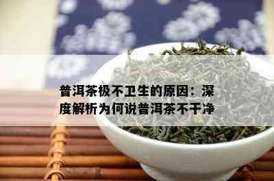 普洱茶极不卫生的原因：深度解析为何说普洱茶不干净