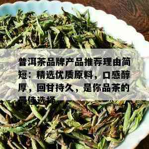 普洱茶品牌产品推荐理由简短：精选优质原料，口感醇厚，回甘持久，是你品茶的更佳选择。