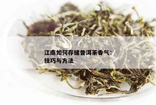 江南如何存储普洱茶香气：技巧与方法