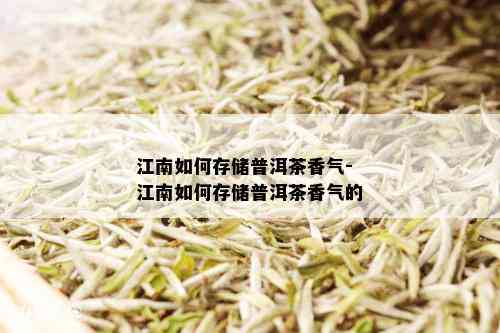 江南如何存储普洱茶香气-江南如何存储普洱茶香气的