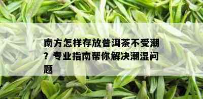 南方怎样存放普洱茶不受潮？专业指南帮你解决潮湿问题