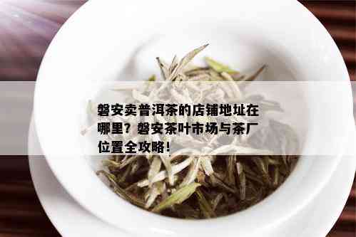 磐安卖普洱茶的店铺地址在哪里？磐安茶叶市场与茶厂位置全攻略！