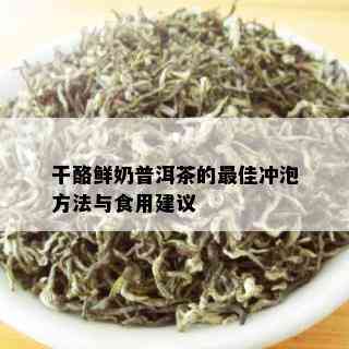 干酪鲜奶普洱茶的更佳冲泡方法与食用建议