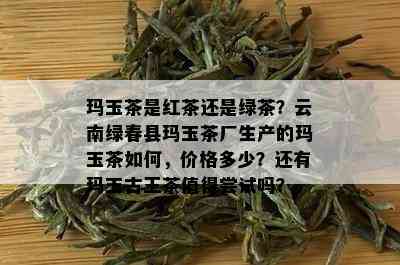 玛玉茶是红茶还是绿茶？云南绿春县玛玉茶厂生产的玛玉茶如何，价格多少？还有玛玉古王茶值得尝试吗？