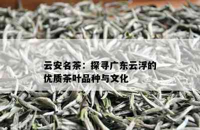 云安名茶：探寻广东云浮的优质茶叶品种与文化