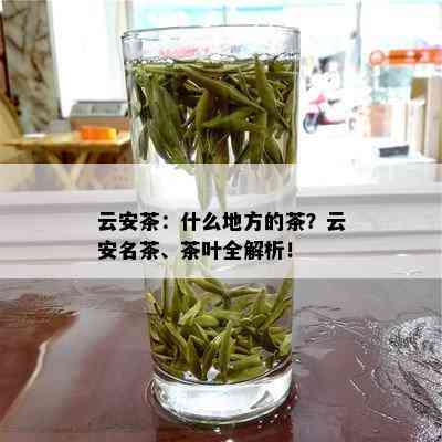 云安茶：什么地方的茶？云安名茶、茶叶全解析！