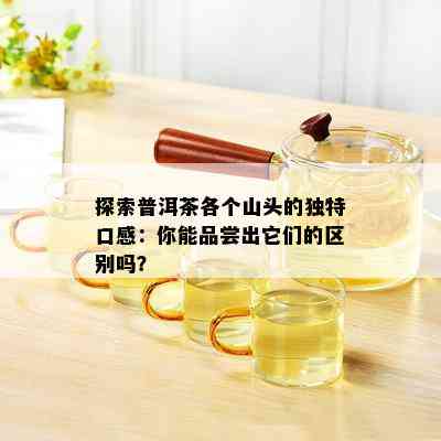 探索普洱茶各个山头的独特口感：你能品尝出它们的区别吗？