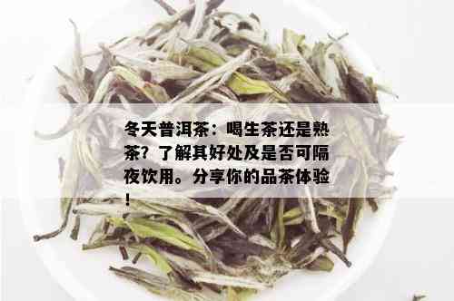 冬天普洱茶：喝生茶还是熟茶？了解其好处及是否可隔夜饮用。分享你的品茶体验！