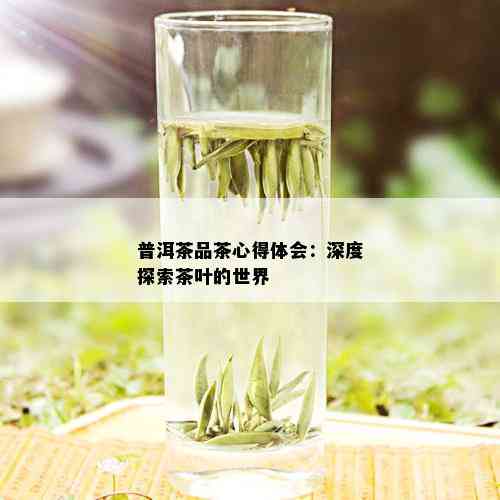 普洱茶品茶心得体会：深度探索茶叶的世界