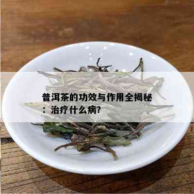 普洱茶的功效与作用全揭秘：治疗什么病？