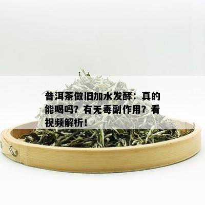 普洱茶做旧加水发酵：真的能喝吗？有无副作用？看视频解析！