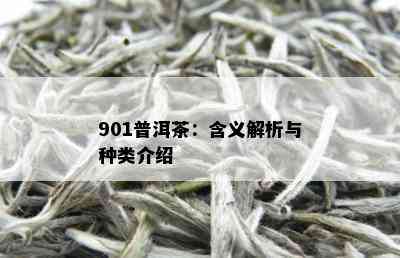 901普洱茶：含义解析与种类介绍