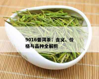 9016普洱茶：含义、价格与品种全解析