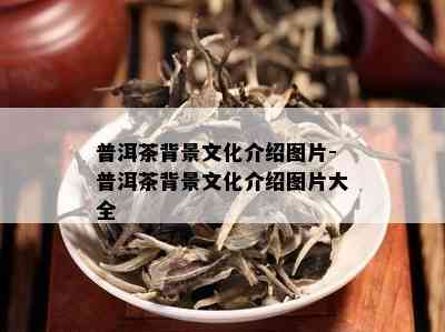 普洱茶背景文化介绍图片-普洱茶背景文化介绍图片大全