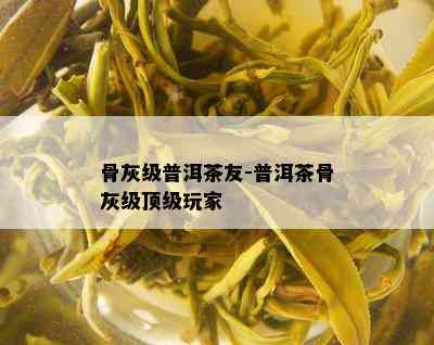 骨灰级普洱茶友-普洱茶骨灰级顶级玩家