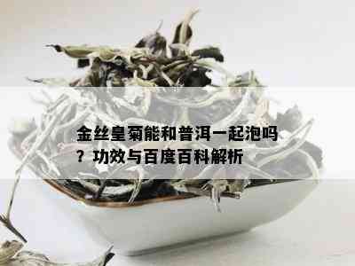 金丝皇菊能和普洱一起泡吗？功效与百度百科解析