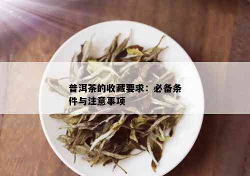 普洱茶的收藏要求：必备条件与注意事项