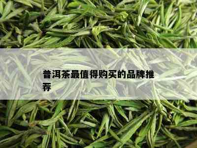 普洱茶最值得购买的品牌推荐