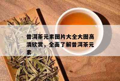 普洱茶元素图片大全大图高清欣赏，全面了解普洱茶元素