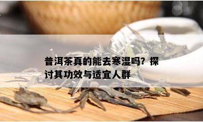 普洱茶真的能去寒湿吗？探讨其功效与适宜人群