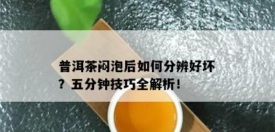 普洱茶闷泡后如何分辨好坏？五分钟技巧全解析！