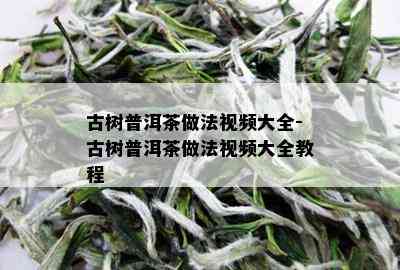 古树普洱茶做法视频大全-古树普洱茶做法视频大全教程