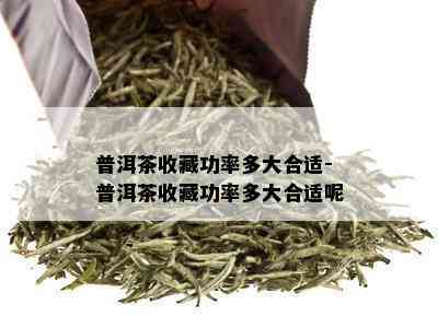 普洱茶收藏功率多大合适-普洱茶收藏功率多大合适呢