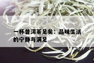 一杯普洱茶足矣：品味生活的宁静与满足