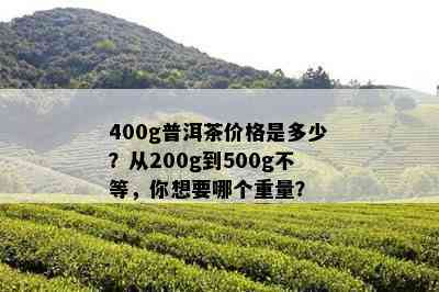 400g普洱茶价格是多少？从200g到500g不等，你想要哪个重量？